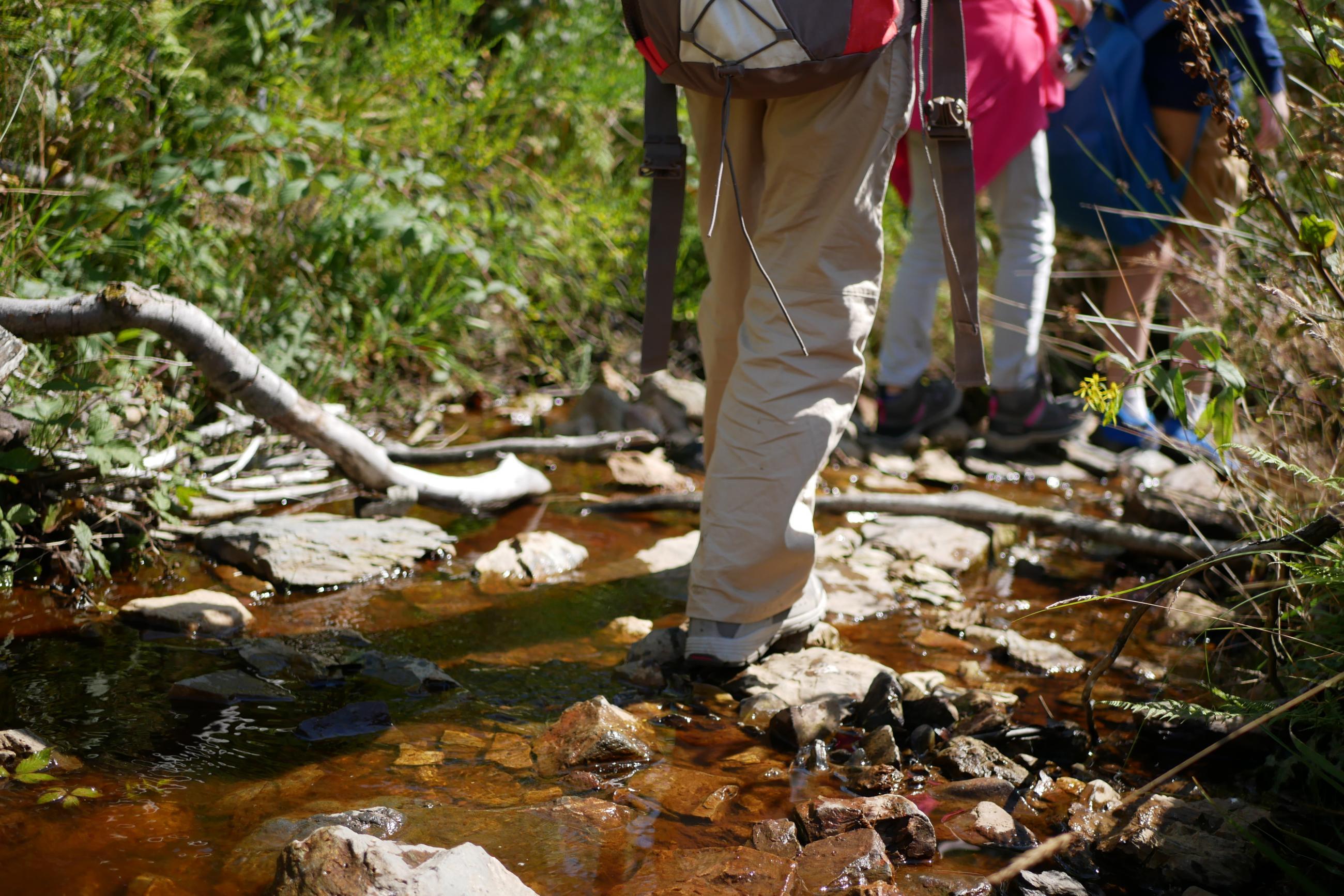 Natuurpark Hoge Venen - Eifel | Toerisme in de Ardennen
